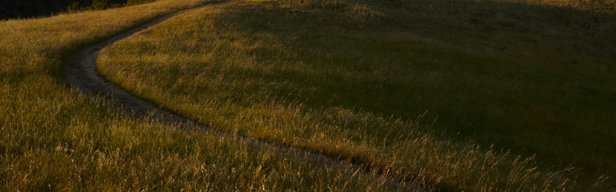 Men's Trail Running Shop Running Warehouse