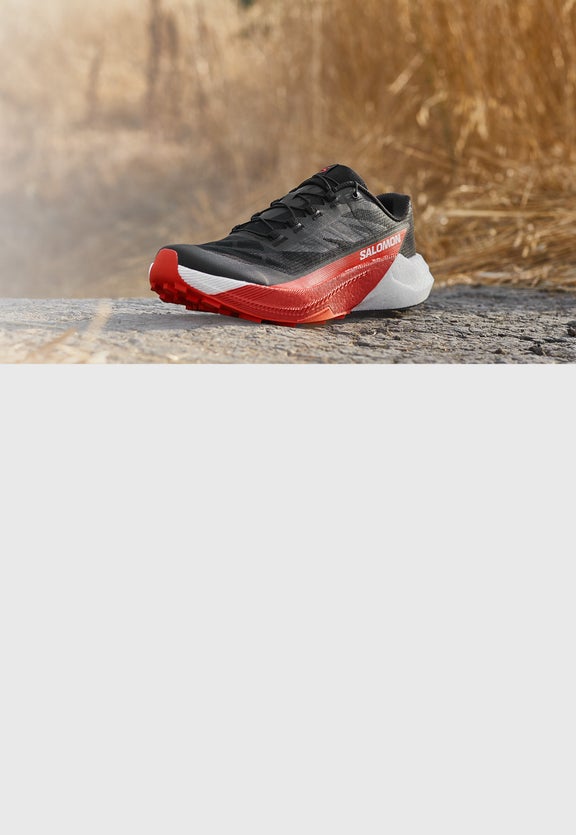 Salomon Pulsar