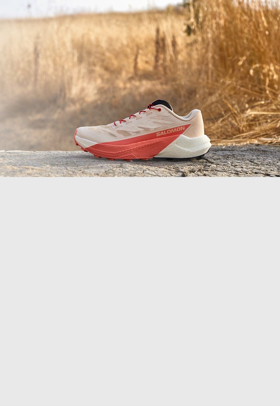 Salomon Pulsar