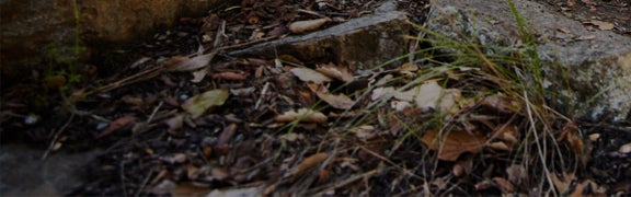 Salomon Trail Running