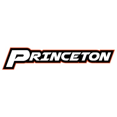 Princeton Example
