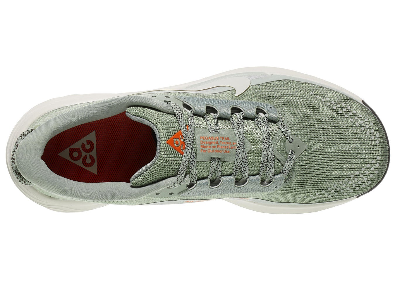 Nike ACG Pegasus in jade green color, top view of left shoe facing right