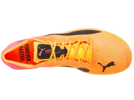 PUMA evoSpeed Long Distance Nitro Elite 2 Spike Unisex | Running 