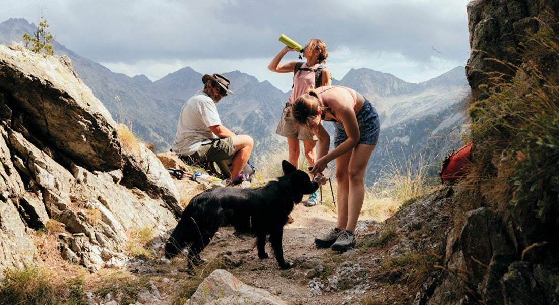 Patagonia Women's Running Clothing Running Warehouse