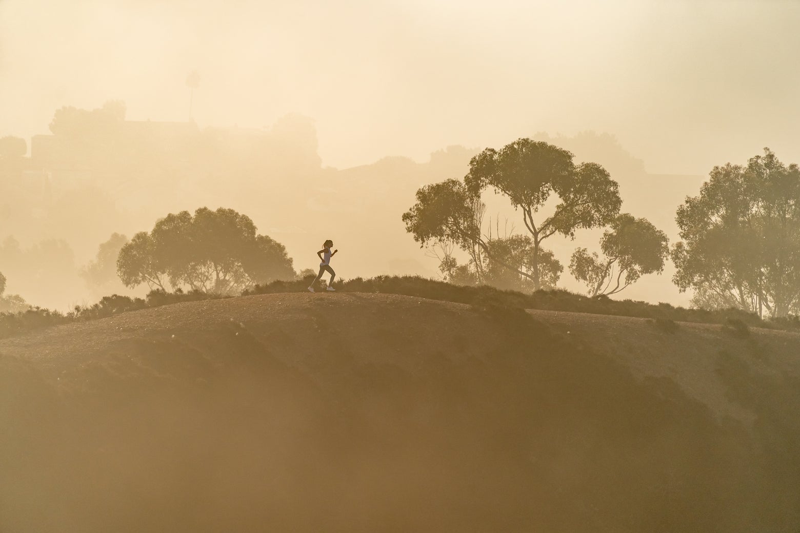 runner with sunset