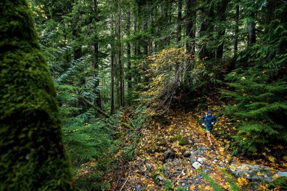 Running in Forest