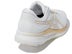 ASICS EvoRide
