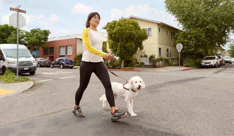 Dog walking in outlet new shoes