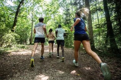 Group running in forest