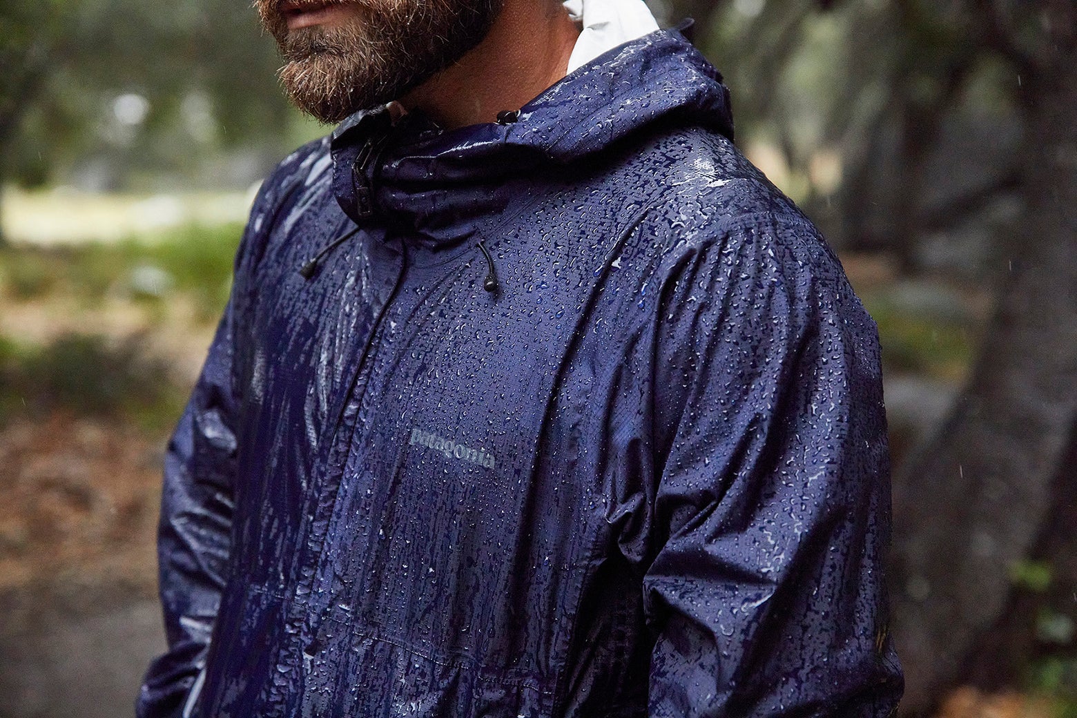Bearded man in a blue rain jacket stands in a forest as rain falls. The jacket, shiny and wet, indicates a rainy, serene outdoor environment.