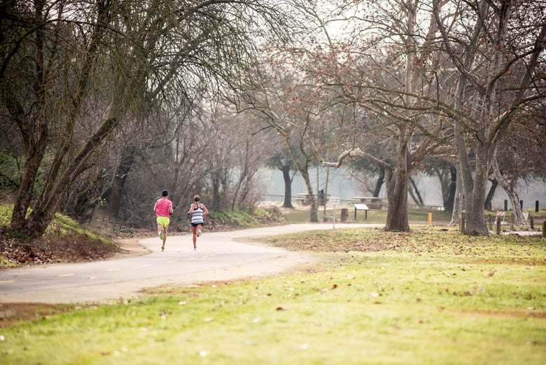 Two people jog along a winding path in a tranquil, leafless park. Overcast skies and bare trees create a serene, late autumn or winter mood.